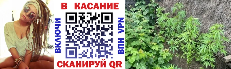 Цена Приозерск Псилоцибиновые грибы  Альфа ПВП  МЕФ  Конопля  ГАШ 