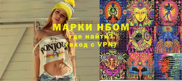 хмурый Алзамай