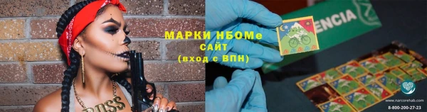 хмурый Алзамай