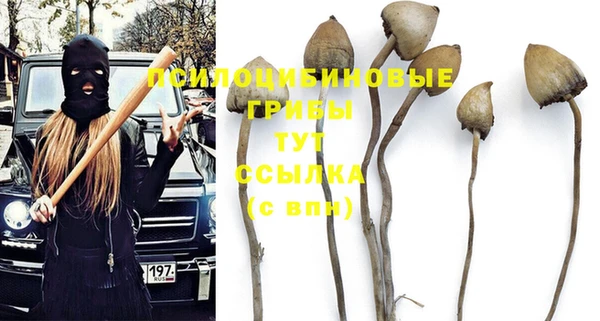 хмурый Алзамай