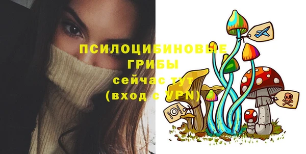 таблы Горняк