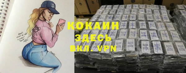 хмурый Алзамай