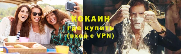 хмурый Алзамай
