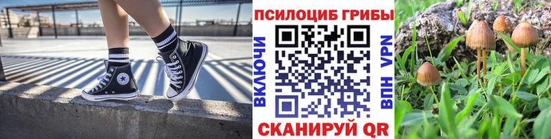 мега вход Приозерск Галлюциногенные грибы прущие грибы