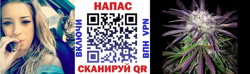 Марихуана Amnesia  Приозерск 